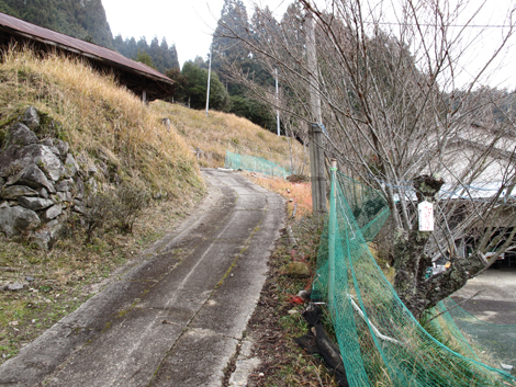 20140105hike (128)